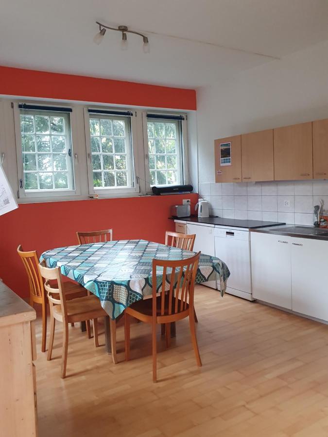 Zentral Gelegene Wohnung Mit Grossem Garten อินเทอร์ลาเคน ภายนอก รูปภาพ
