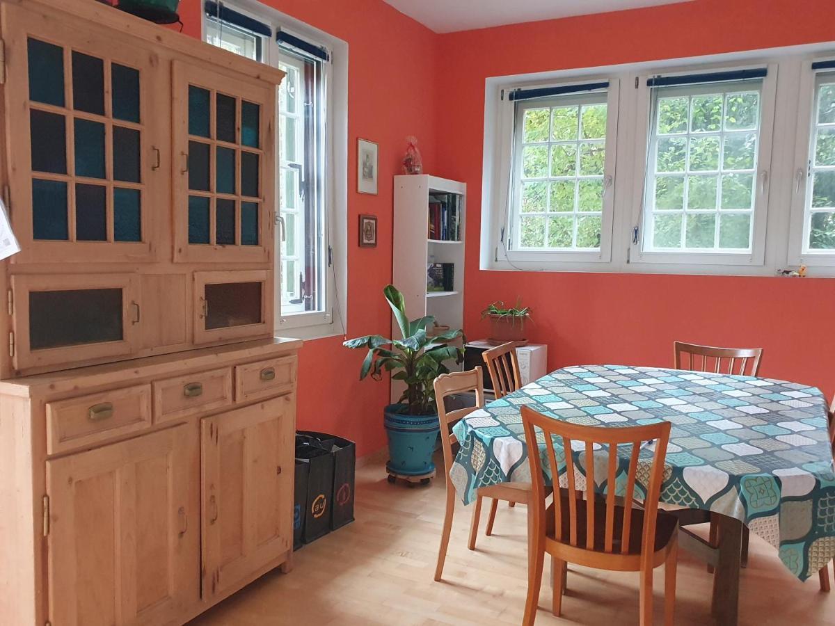 Zentral Gelegene Wohnung Mit Grossem Garten อินเทอร์ลาเคน ภายนอก รูปภาพ