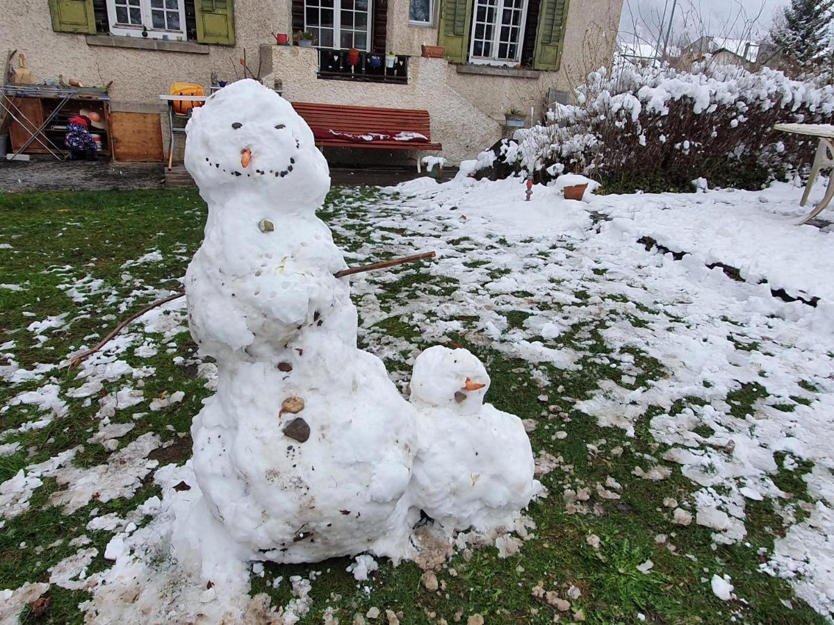 Zentral Gelegene Wohnung Mit Grossem Garten อินเทอร์ลาเคน ภายนอก รูปภาพ